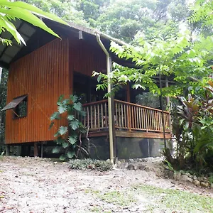 Bed & Breakfast Epiphyte